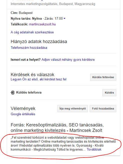 Google My Business vállalkozás leírásának megjelenése